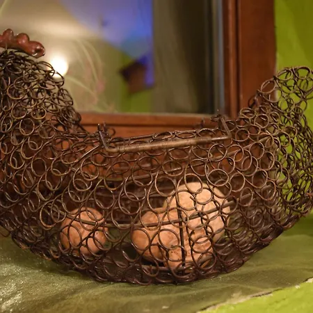 Cozy Tatil Evi Nimbermont